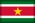 Flag of Suriname