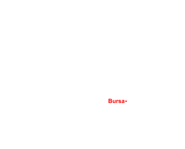 Bursa, Brusa, Prusa