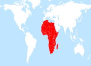 Afrique