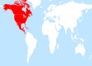 North America