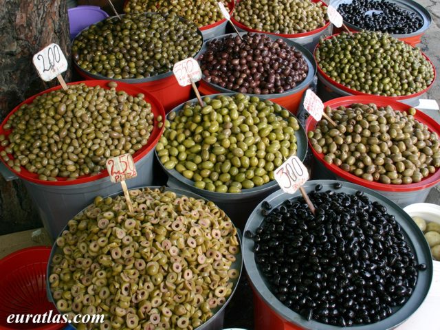 Click to download the Olive Merchant