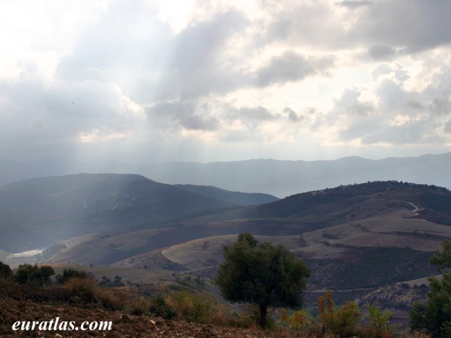 Click to download the Countryside near Fier