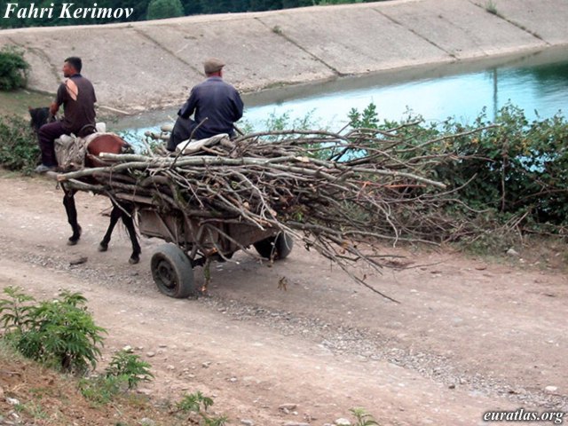 wood_transport.jpg