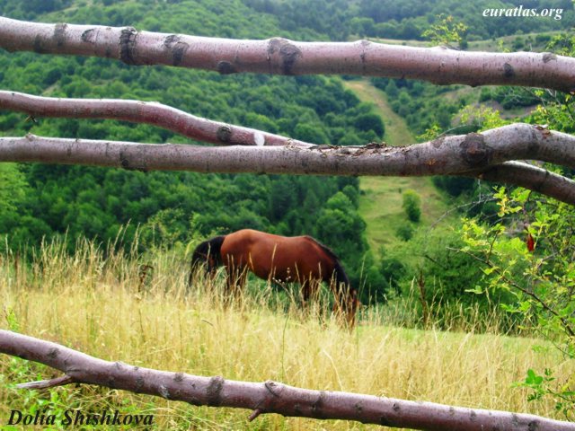 rhodope_mostovo.jpg