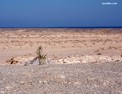 fr_red_sea_desert.html