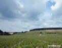 bourgogne_vineyards.html