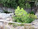 saint_cassien_gorge.html