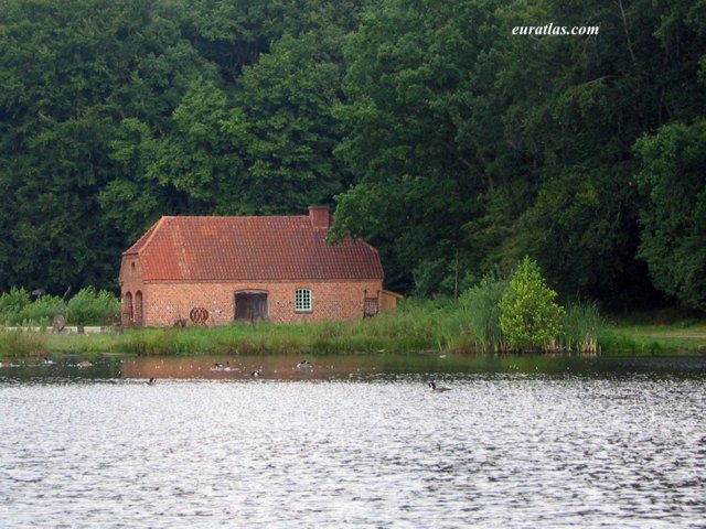 house_pond.jpg