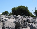 alonnisos_rocks.html