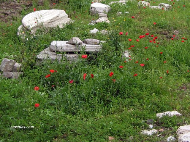 theatre_marcellus_flowers.jpg