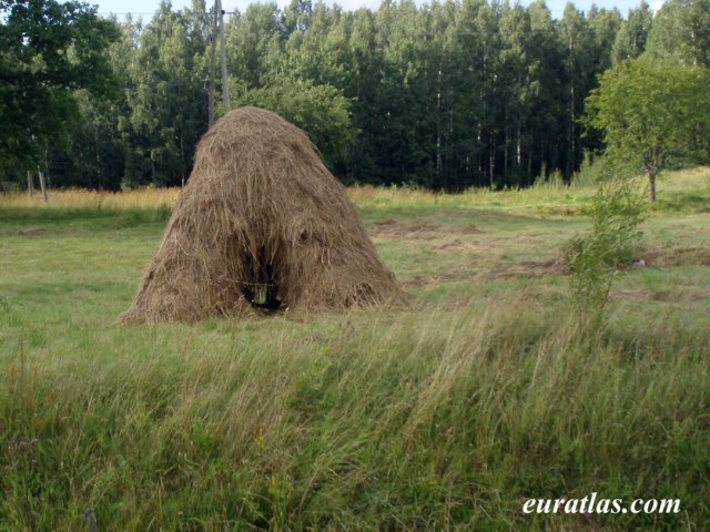 haystack.jpg