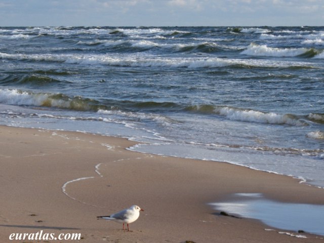 klaipeda_sea.jpg