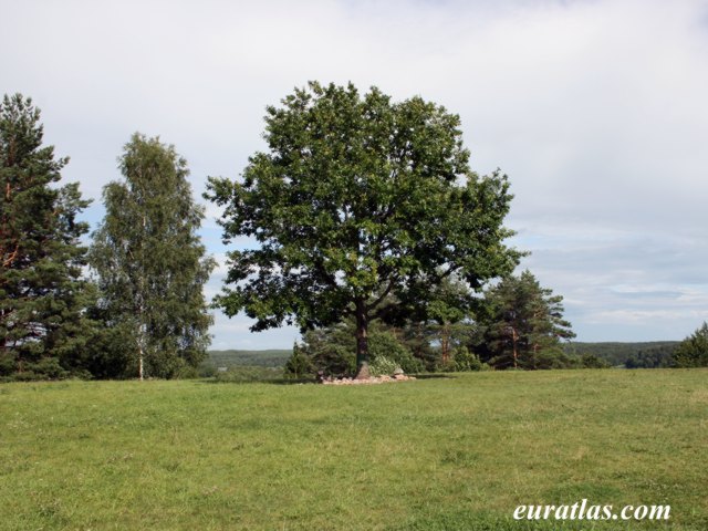 lada_goddess_tree.jpg