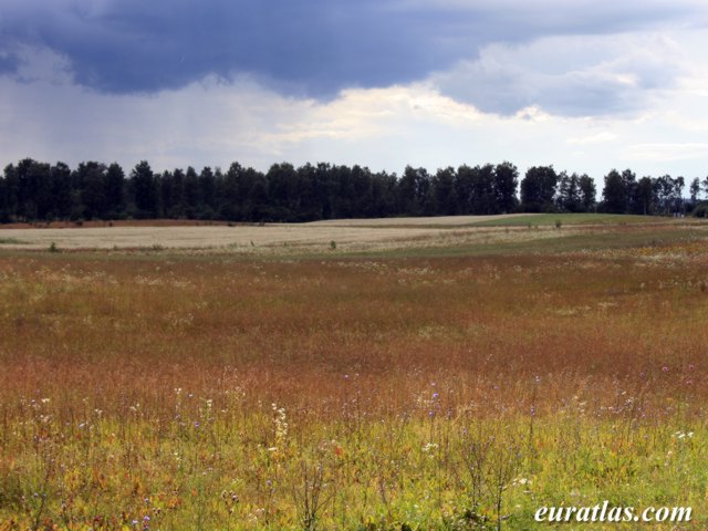 lithuania_landscape.jpg