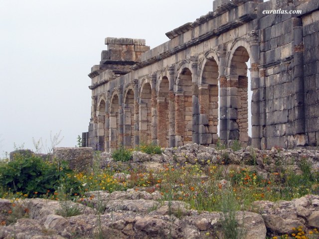 volubilis.jpg