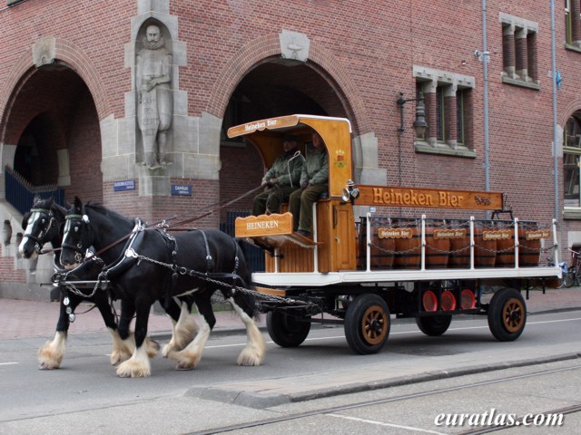 amsterdam_draft_transport.jpg