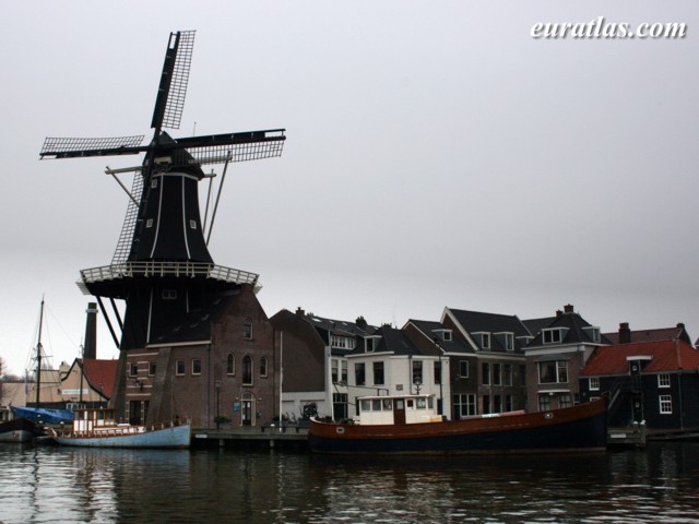 haarlem_windmill.jpg