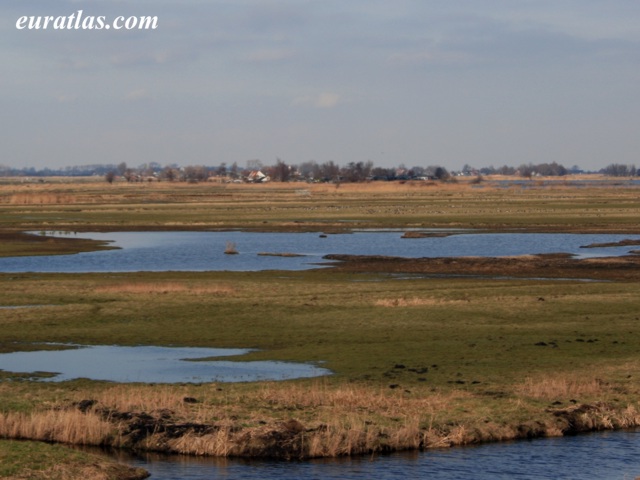 polder.jpg