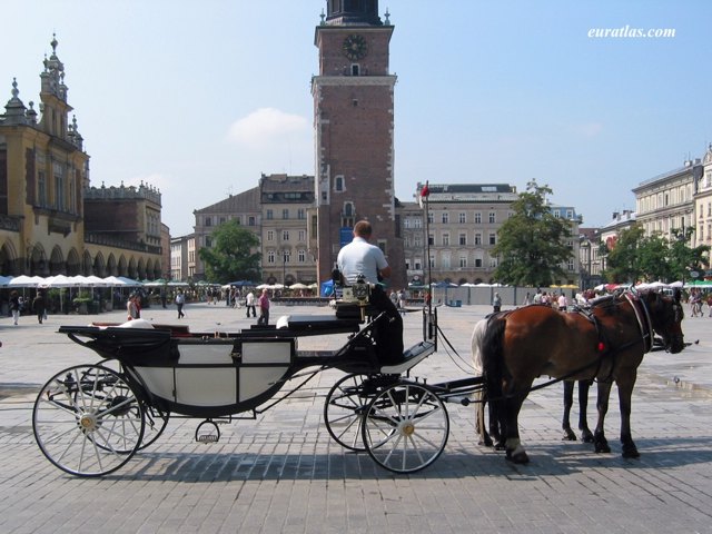 krakow_rynek_caleche.jpg