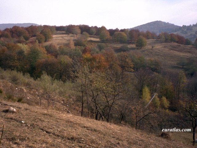 transylvania_landscape.jpg