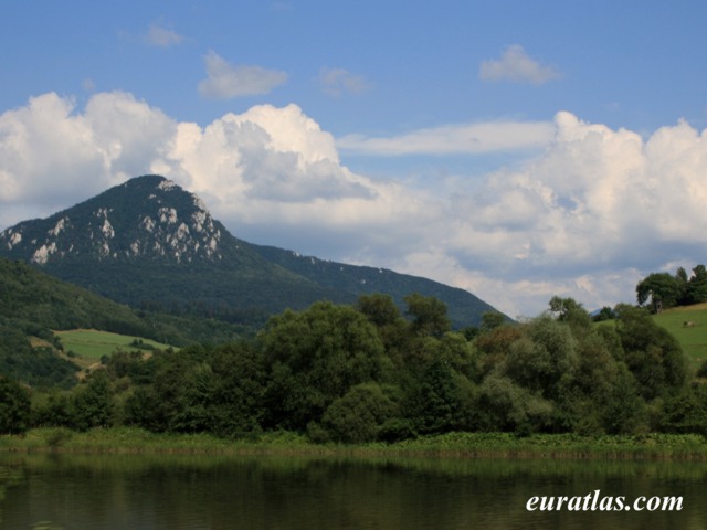 martin_landscape.jpg