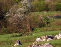 a_slovenian_spring.html