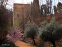 fr_granada_alhambra_walls.html