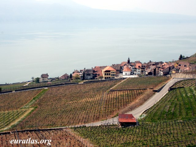 lavaux_rivaz.jpg