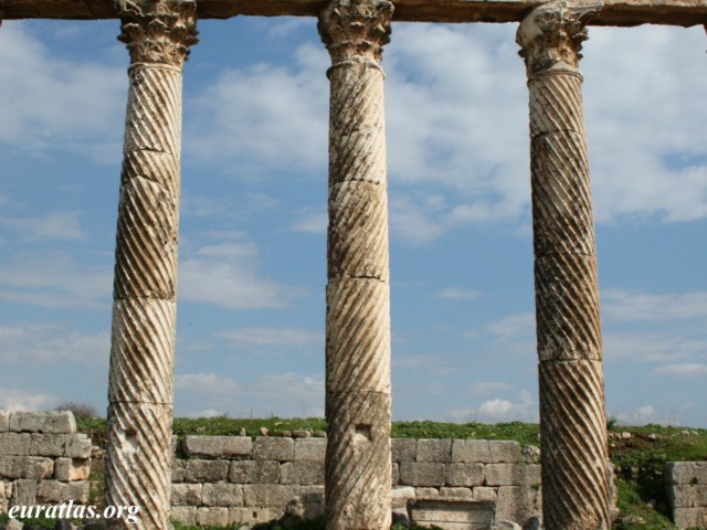 apamea_spirals.jpg