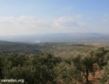 afrin_river_valley.html