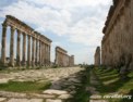 fr_apamea_decumanus.html