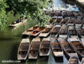 oxford_boats.html