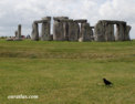 stonehenge_crow.html