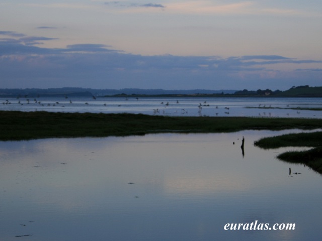 foryd_bay.jpg