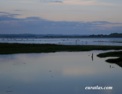 foryd_bay.html