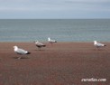 llandudno_promenade.html