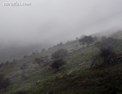 nant_gwynant_mist_2.html